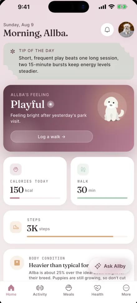 Allby home screen — daily calories, walk and step totals, and a body-condition read for the dog.